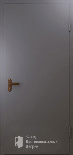 Фото двери «Техническая дверь №1 однопольная» в Зарайску