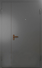 Фото двери «Техническая дверь №6 полуторная» в Зарайску